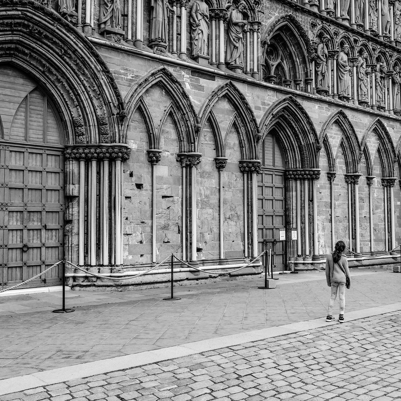 building exterior, architecture, built structure, animal themes, one animal, full length, walking, bird, arch, street, day, outdoors, cobblestone, wildlife, men, pigeon, city, sidewalk