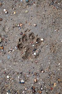 Close-up of sand on beach