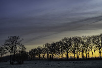 Silhouette bare trees by plants against sky during sunset