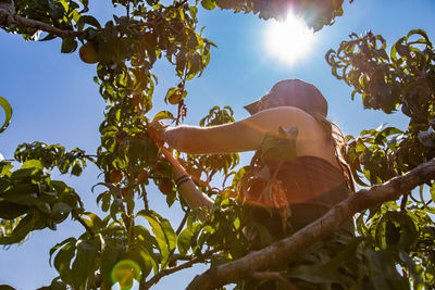 Low angle view of woman against sky on sunny day