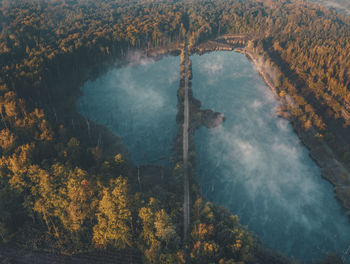 High angle view of river amidst trees in forest