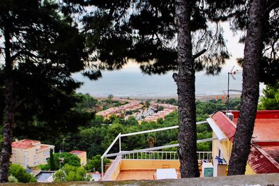 Trees and townscape against sky