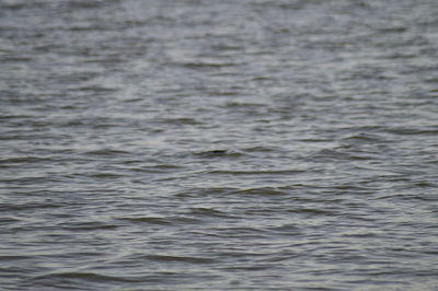 Full frame shot of rippled water