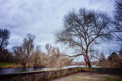 Bare trees by river against sky