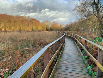 Walkway amidst trees in forest against sky