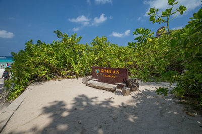 Information sign on road amidst trees against sky