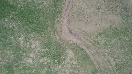 High angle view of trees on field