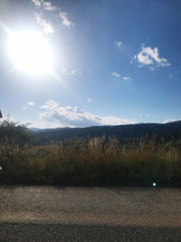 Scenic view of field against bright sun