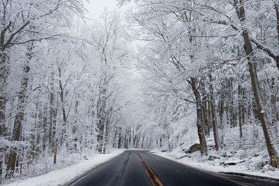 Road amidst snow covered trees during winter