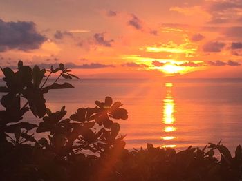 Scenic view of orange sky during sunset