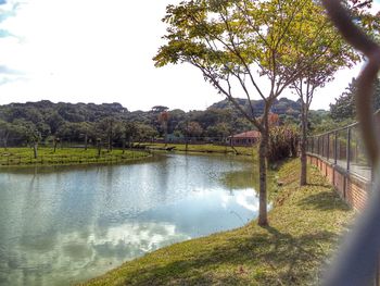 Scenic view of lake by trees against sky