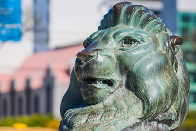 Close-up of lion statue