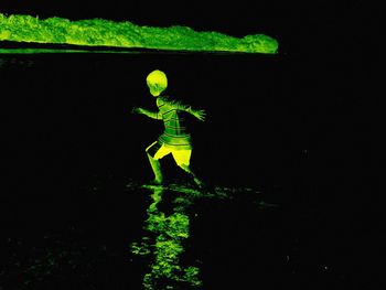 Plants growing on a tree