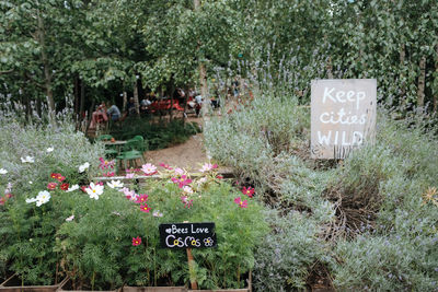 Information sign on flowering plants