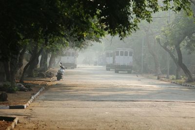 Man on road amidst trees