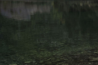Reflection of trees on water in lake