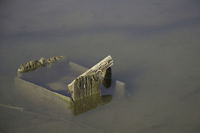 High angle view of abandoned floating on lake