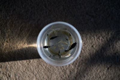 High angle view of cigarette in glass