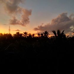 Silhouette palm trees against sky during sunset