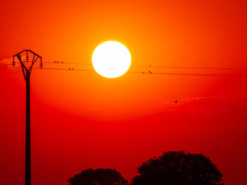 Low angle view of silhouette tree against orange sky