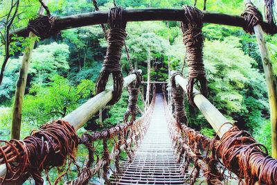 Footbridge amidst trees in forest