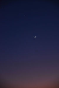 Low angle view of moon in sky at night