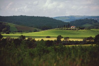 Scenic view of agricultural field against sky