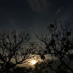 Low angle view of silhouette tree against sky at night