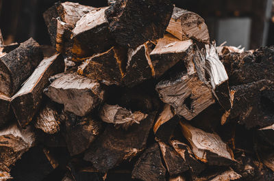 Close-up of logs