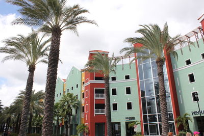 Low angle view of palm trees and buildings against sky