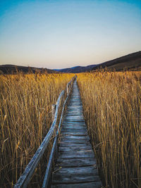 View of boardwalk on field against sky