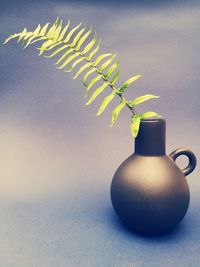 Close-up of potted plant on table