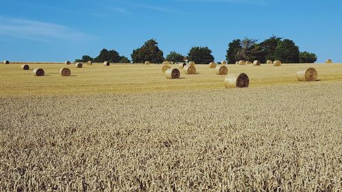 Hay bales on field against sky