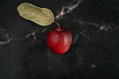 Close-up of apple against black background