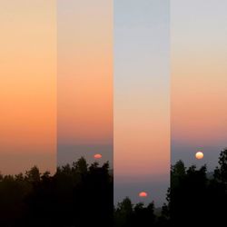 Silhouette trees against sky during sunset