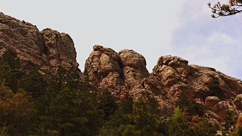 View of trees on mountain against sky