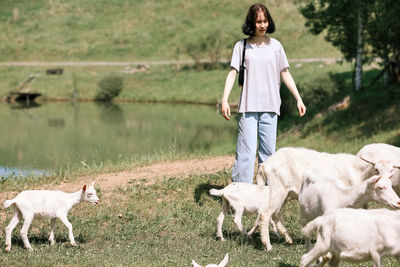 Girl feeds and plays with goats on a farm