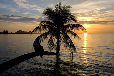 Silhouette palm tree on beach against sky during sunset