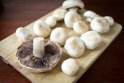 High angle view of mushrooms on table