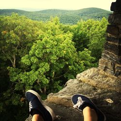 Low section of person standing on tree trunk