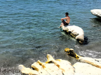 Dog on beach