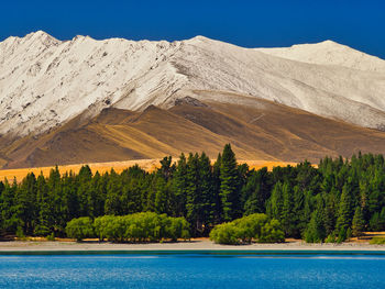 Scenic view of lake by trees against rocky mountains