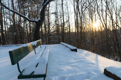 Snow covered bare trees against sky