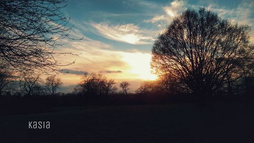 Silhouette of trees on landscape at sunset