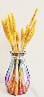 Close-up of glass jar on table against white background