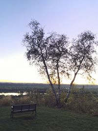 Trees on landscape against clear sky