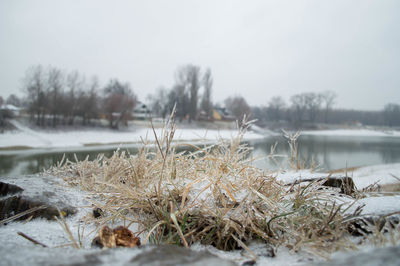 Snow covered field