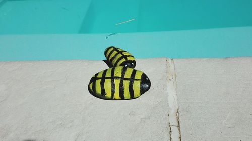 High angle view of yellow leaf on water