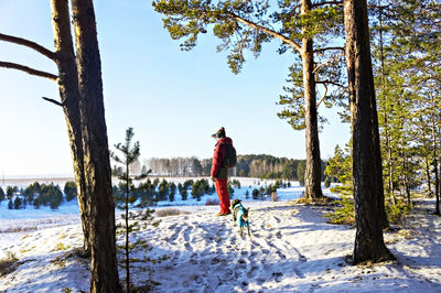 Young man looking into distance from cliff with pine trees along river. winter hiking with dog
