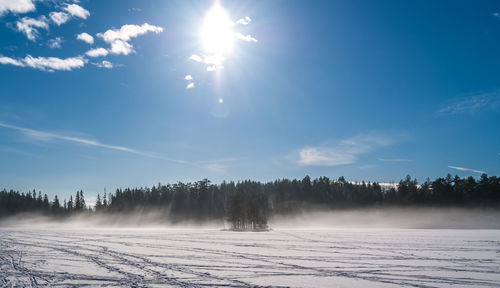 Panoramic shot of trees on landscape against blue sky